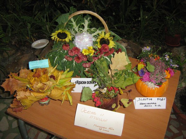 Осенняя выставка 2011