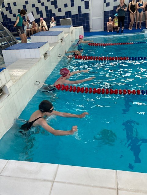 Соревнования по плаванию среди девушек 6-х классов