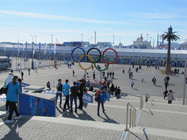 Победители «Олимпийской зачетки» в Олимпийском Сочи